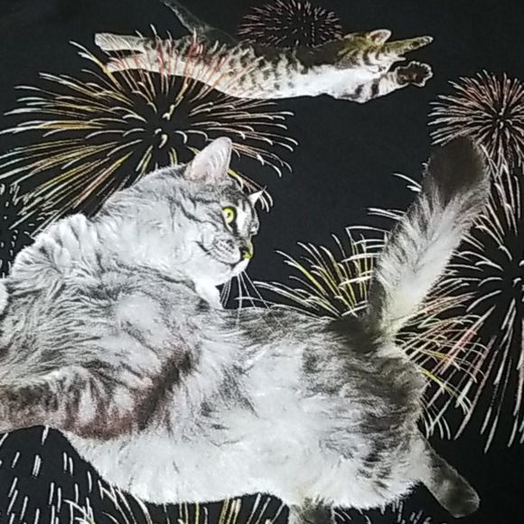 EUC🔥 FIFTH SUN Kitty Cat Firework T-shirt - Picture 3 of 5